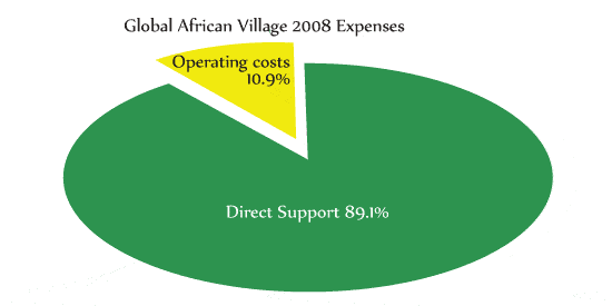 2008 expense chart